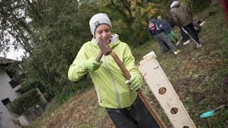 <p>Bildungsbäume</p>